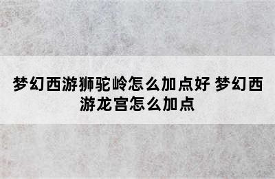 梦幻西游狮驼岭怎么加点好 梦幻西游龙宫怎么加点